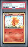 Torchic