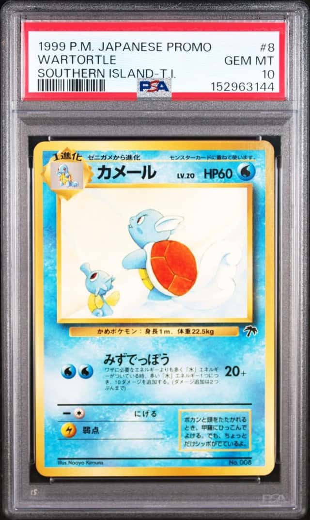 Wartortle