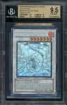 Black Rose Dragon