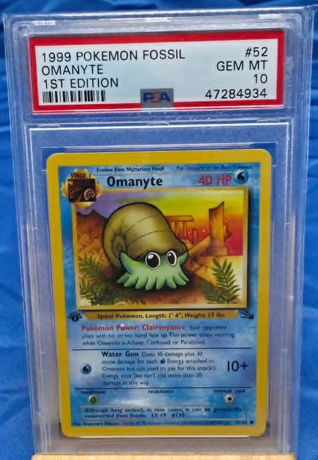 Omanyte
