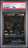 Zekrom Ex