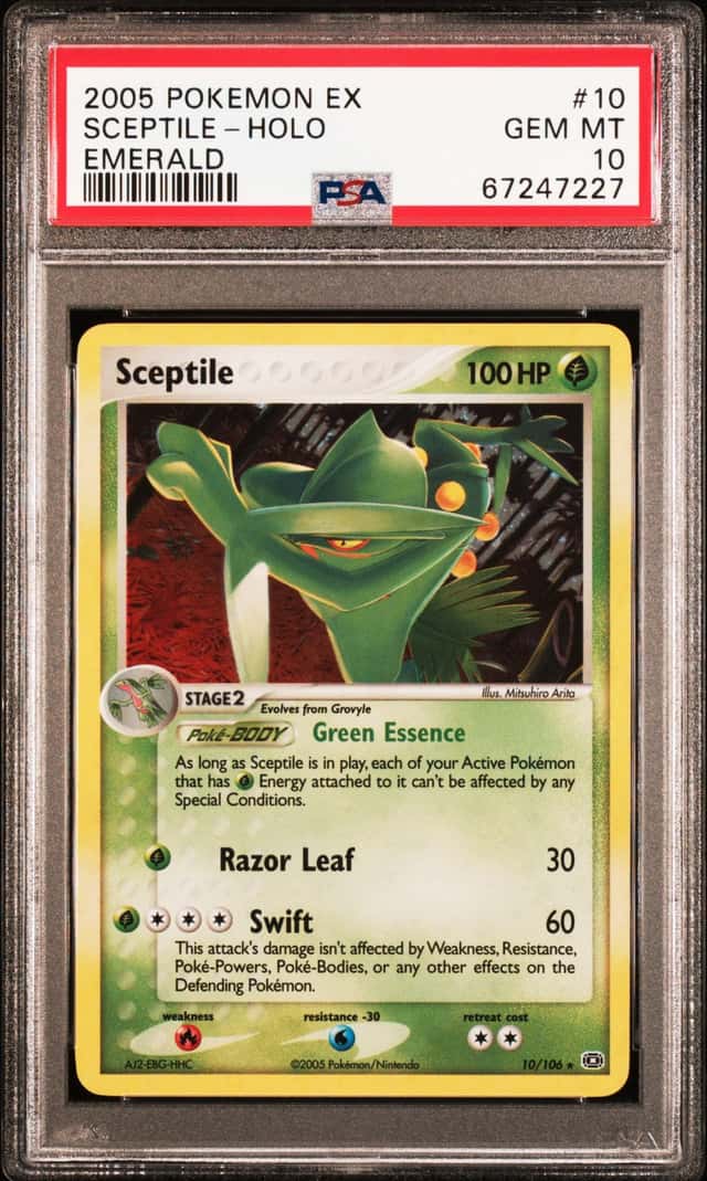 Sceptile