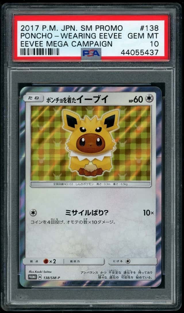 Poncho-wearing Eevee