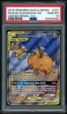 Raichu & Alolan Raichu Gx