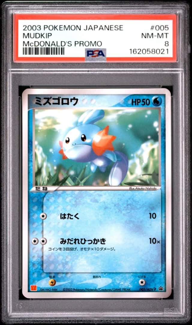 Mudkip