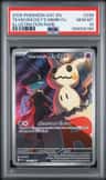 Team Rocket'S Mimikyu