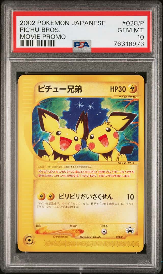 Pichu Bros
