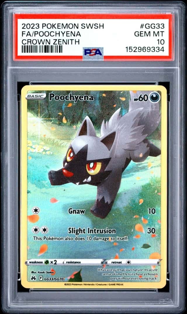 Poochyena