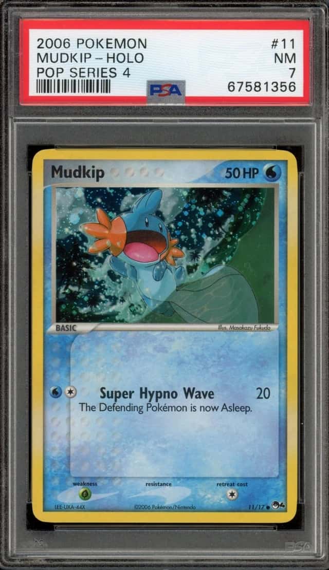 Mudkip