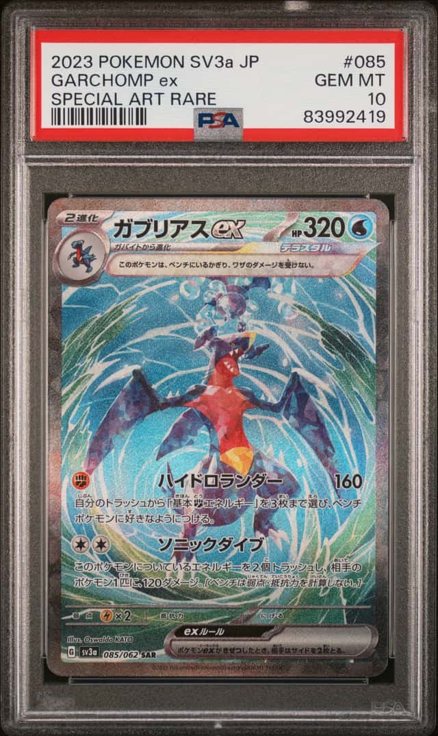 GARCHOMP ex