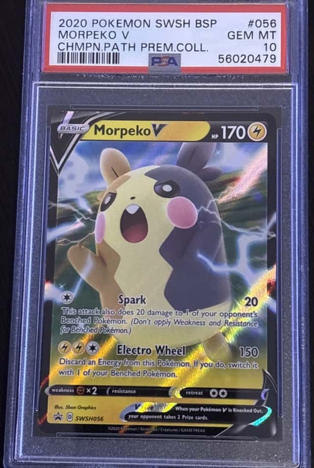 Morpeko V