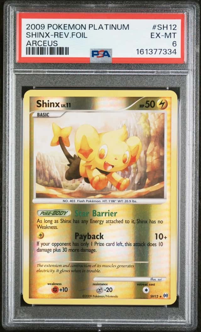 Shinx