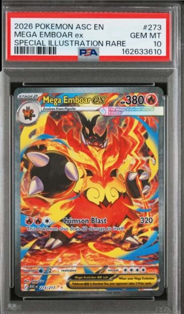 MEGA EMBOAR ex