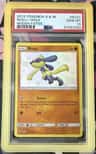 Riolu