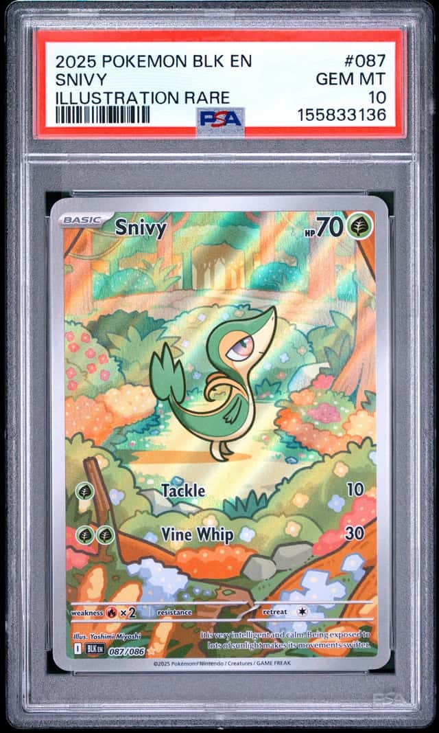 Snivy
