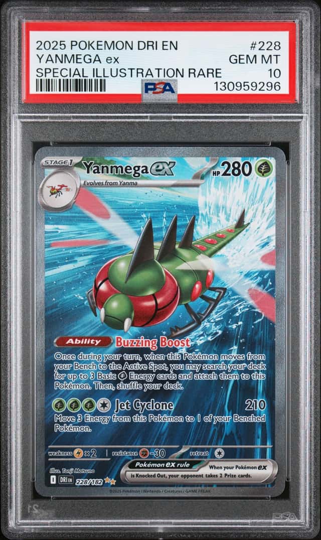 YANMEGA ex