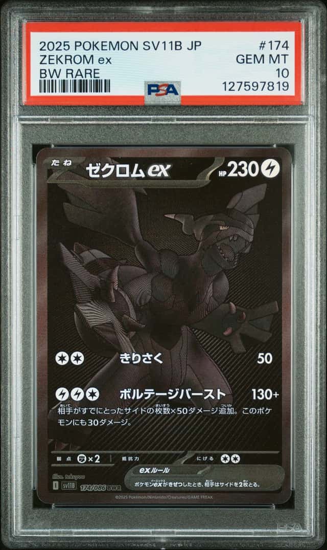 ZEKROM ex