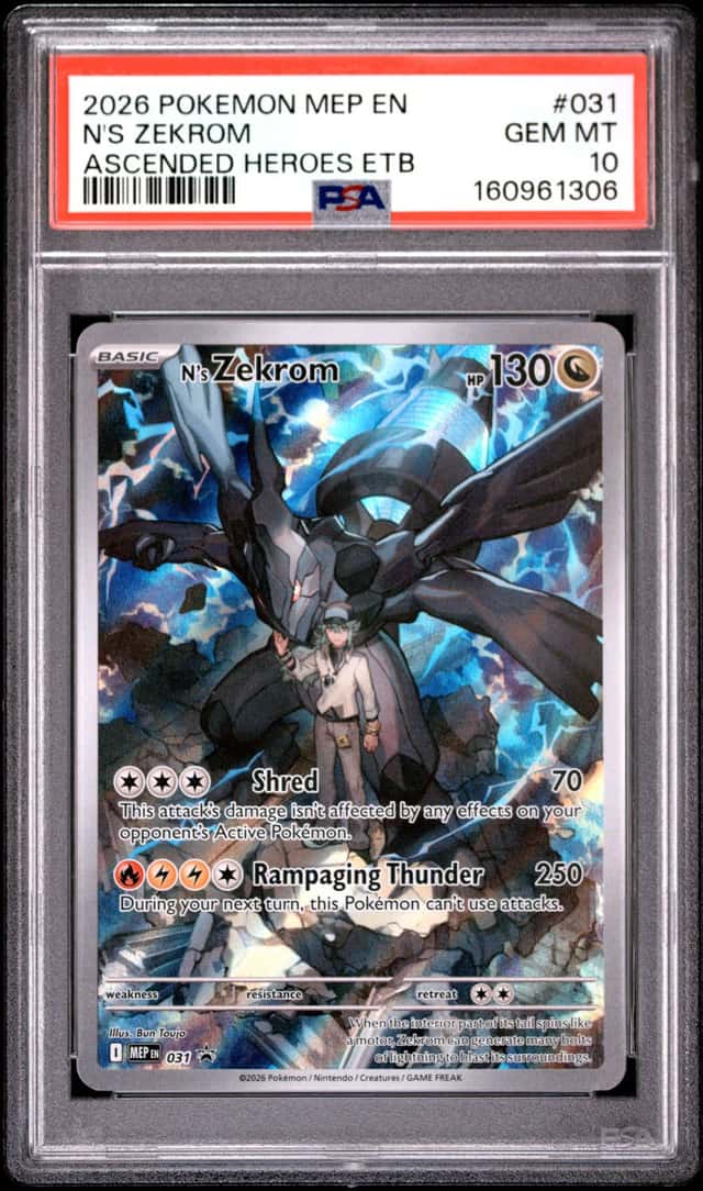 N's Zekrom