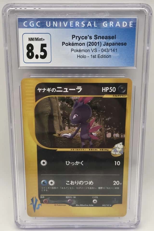 Pryce's Sneasel