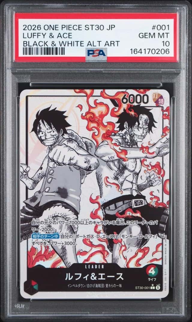 Luffy & Ace