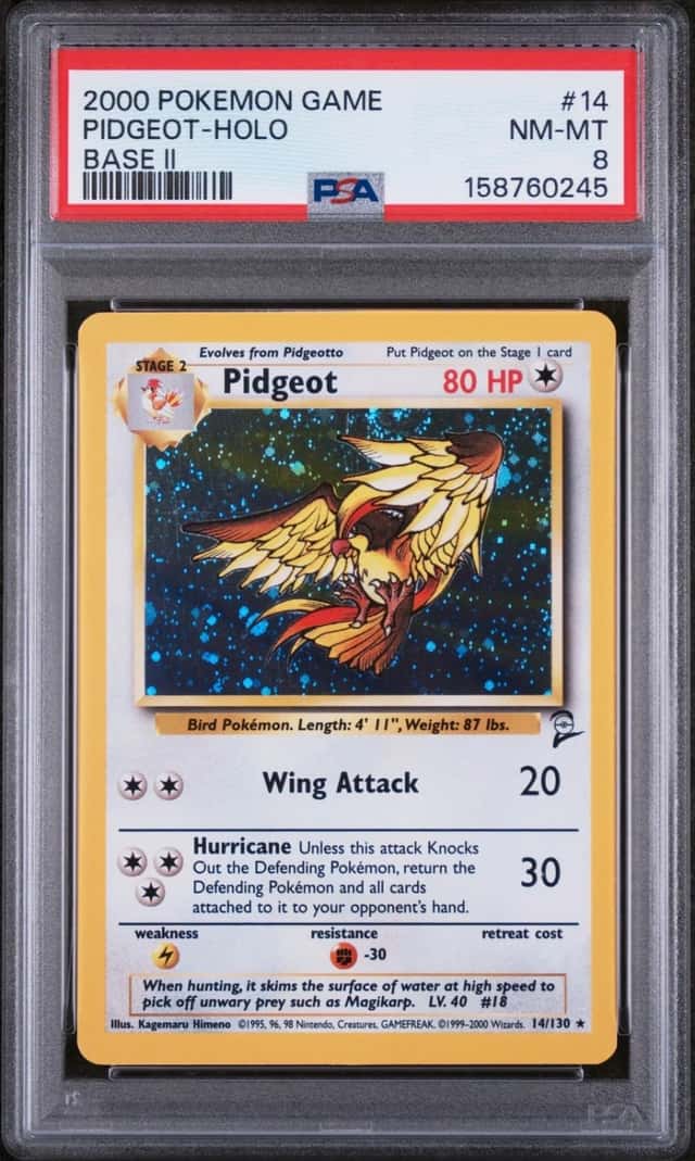 Pidgeot