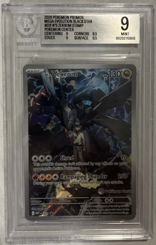 N's Zekrom