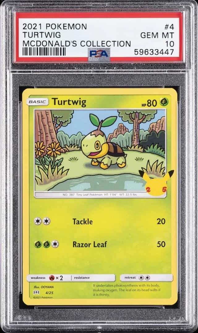 Turtwig