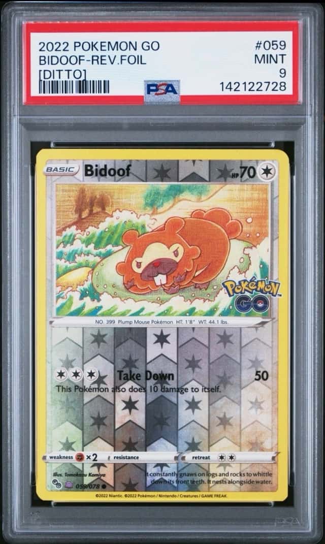 Bidoof