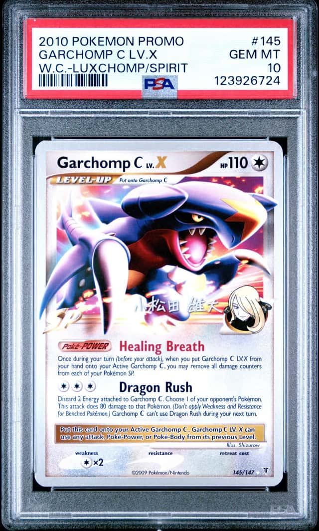 GARCHOMP C LV.X