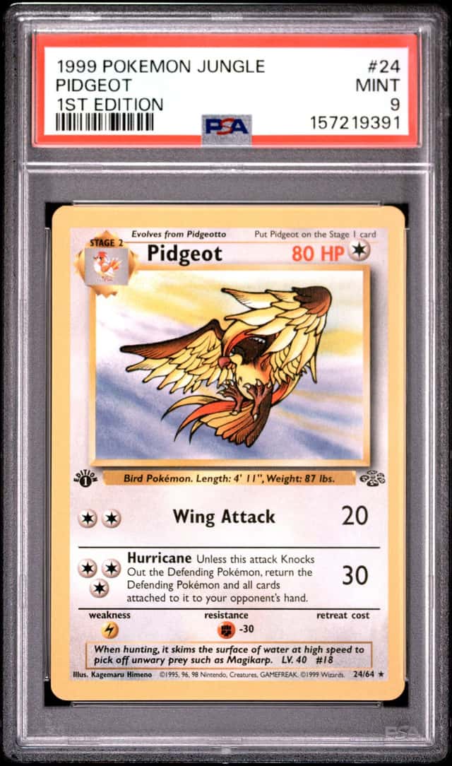 Pidgeot