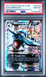 M Sharpedo Ex