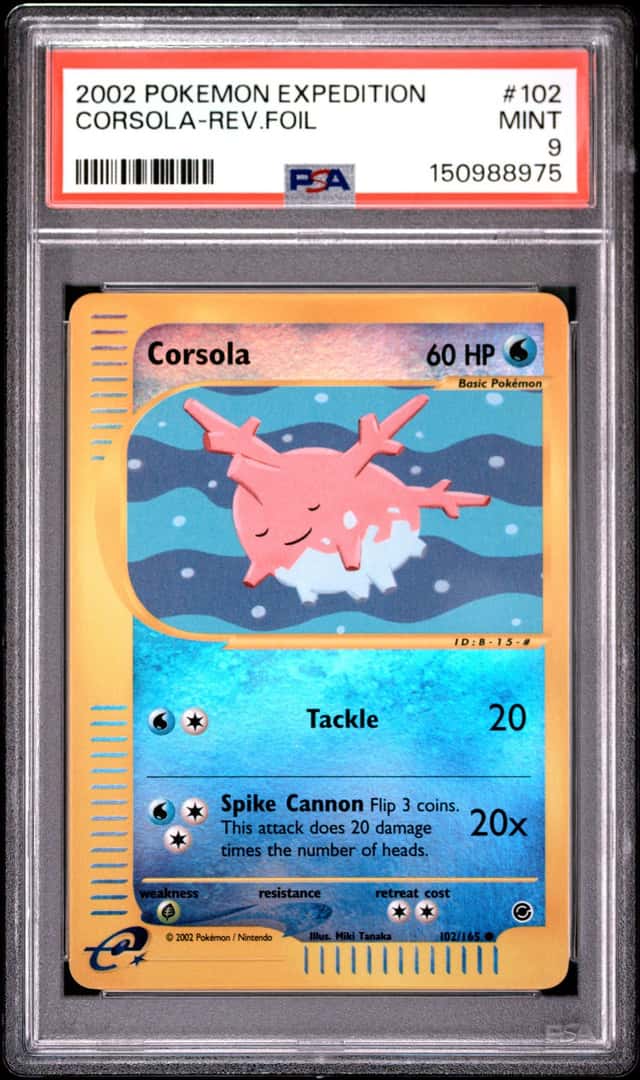 Corsola