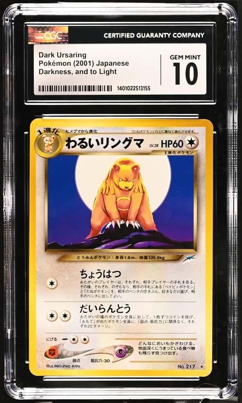 Dark Ursaring