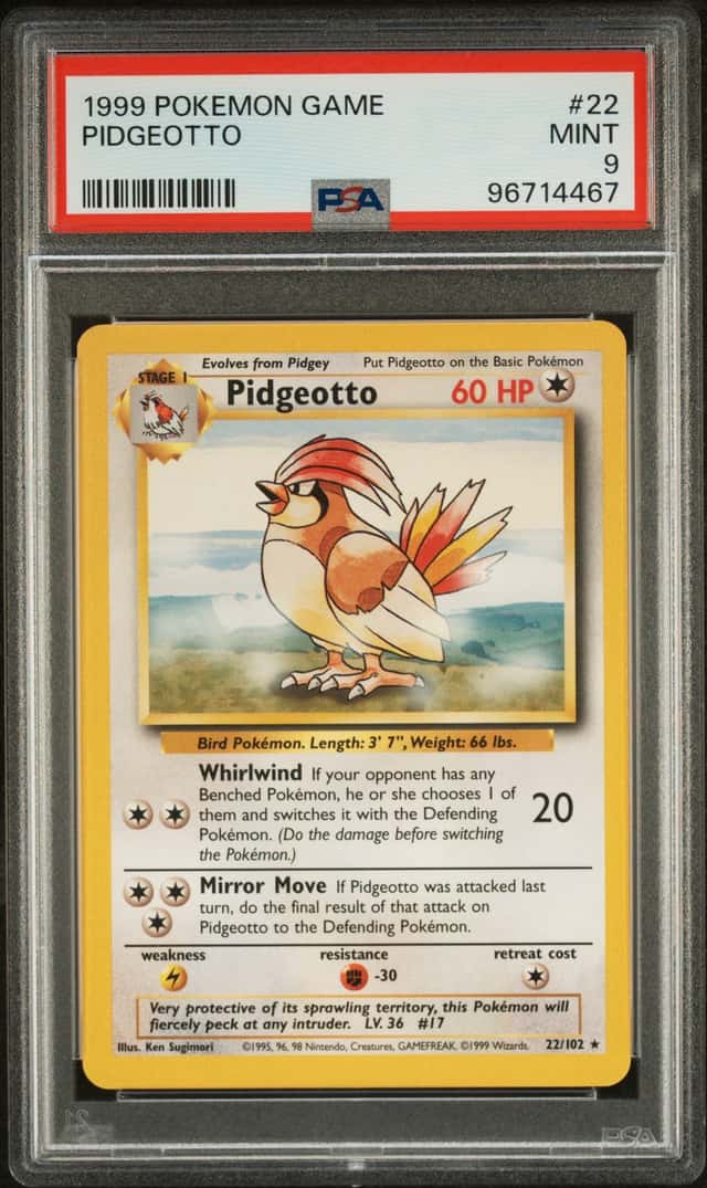 Pidgeotto