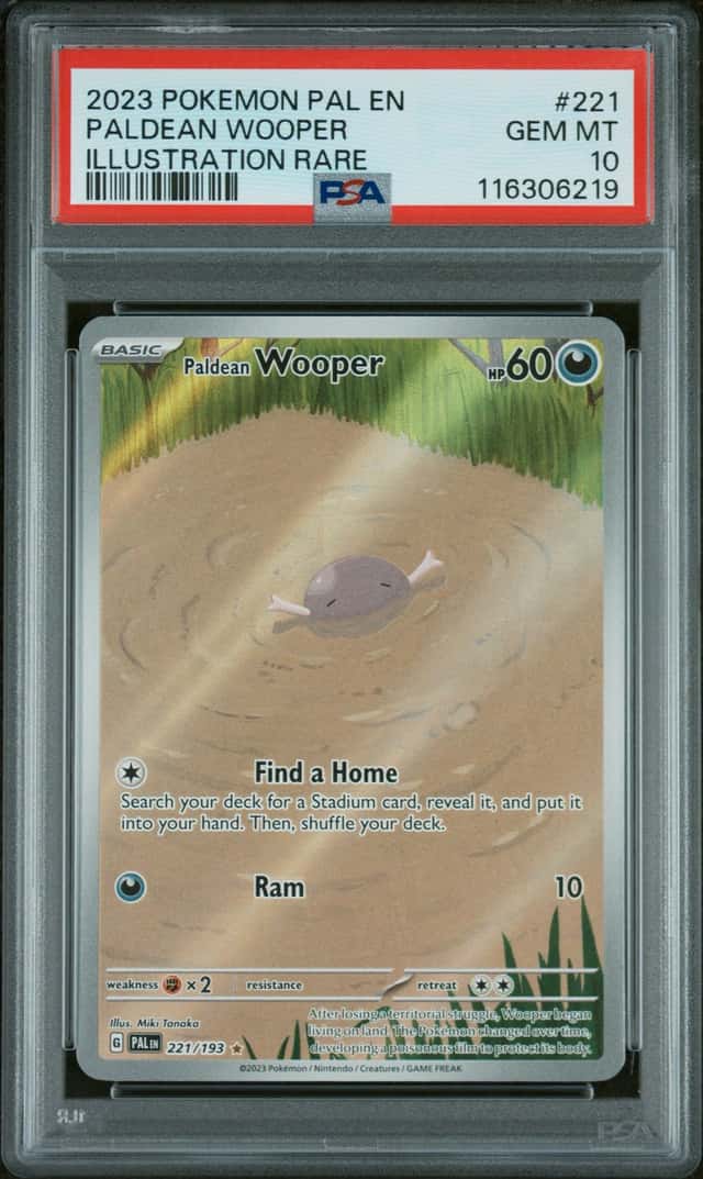 Paldean Wooper