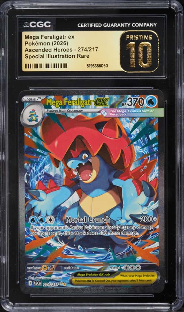 MEGA FERALIGATR ex