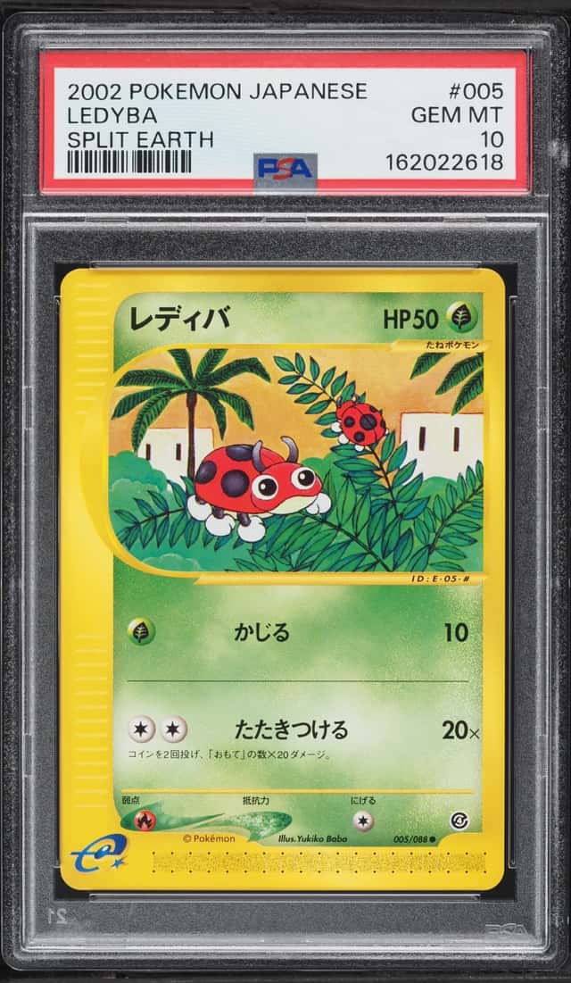 Ledyba