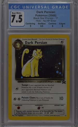 Dark Persian