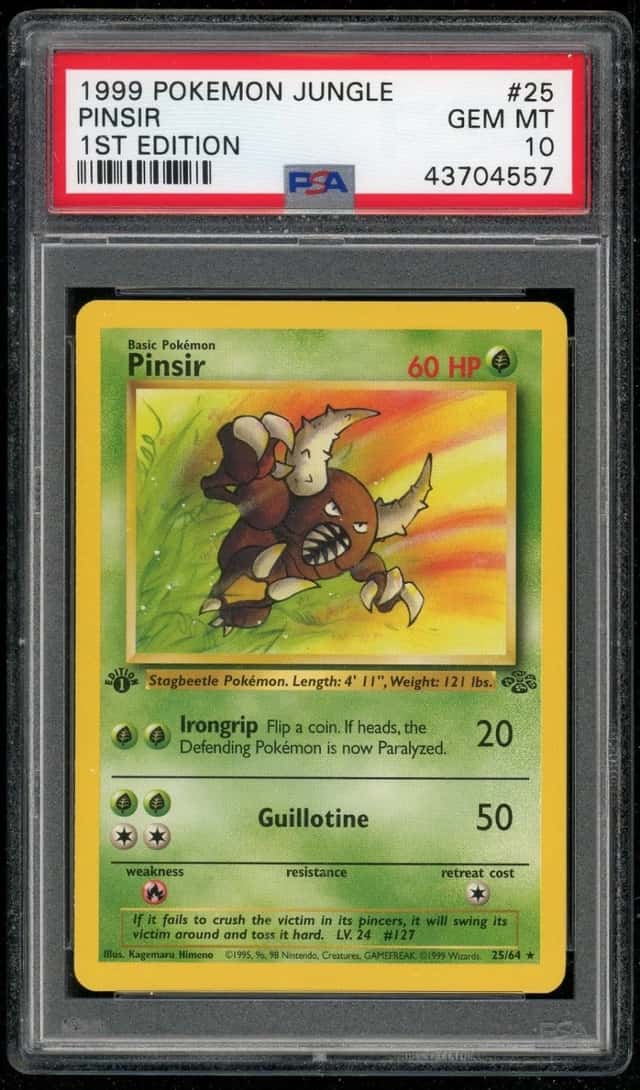Pinsir