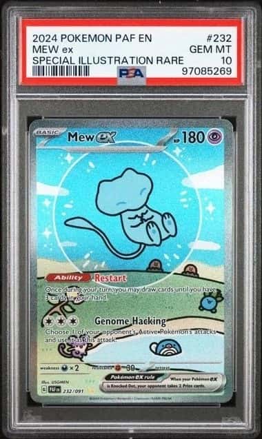 MEW ex