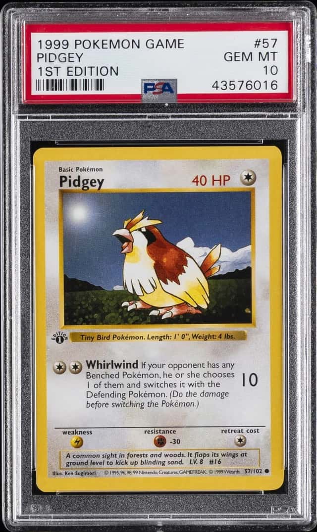 Pidgey