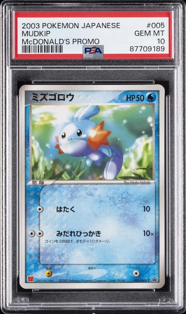 Mudkip