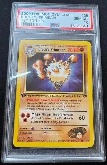 Brock's Primeape