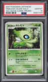 Timeless Celebi