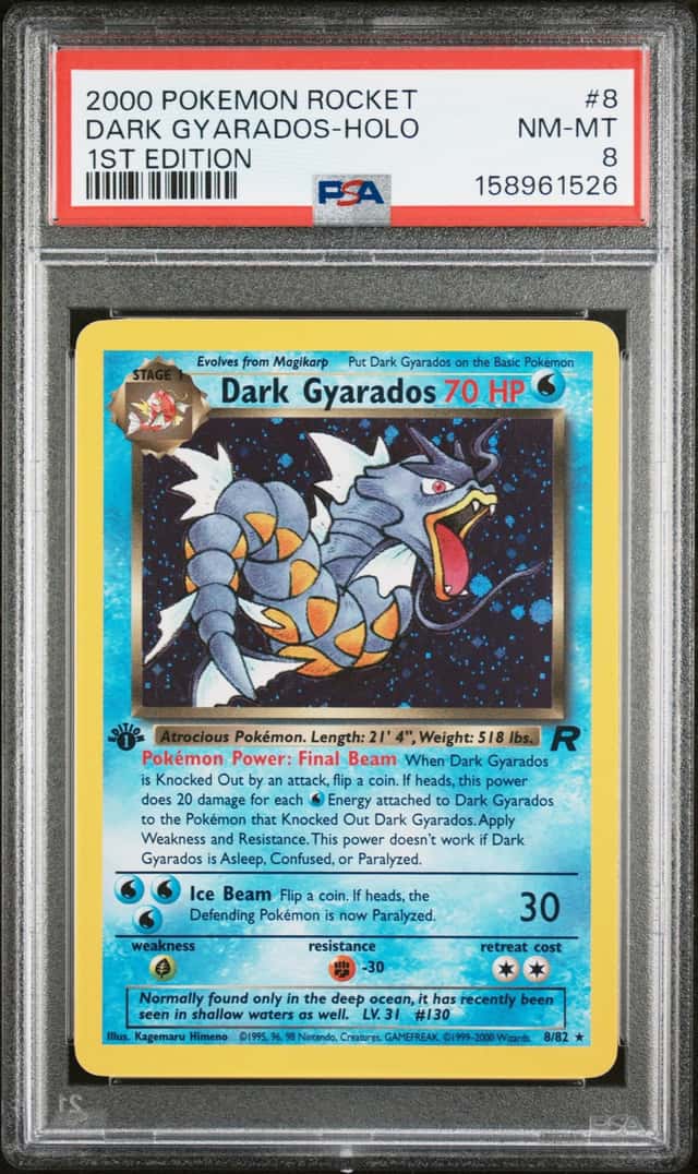 Dark Gyarados