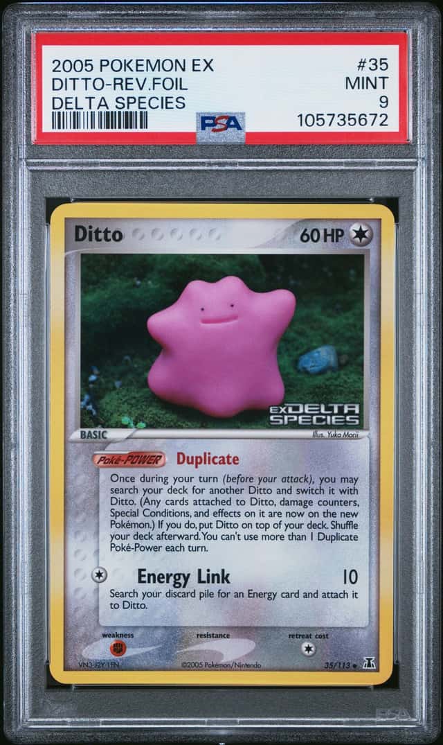 Ditto