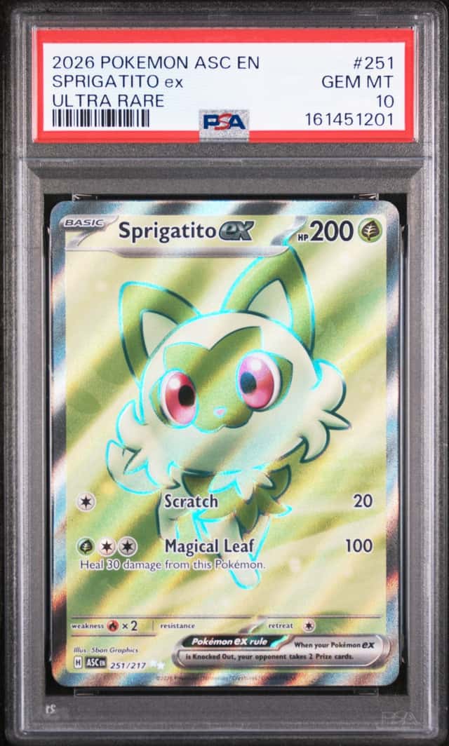 SPRIGATITO ex