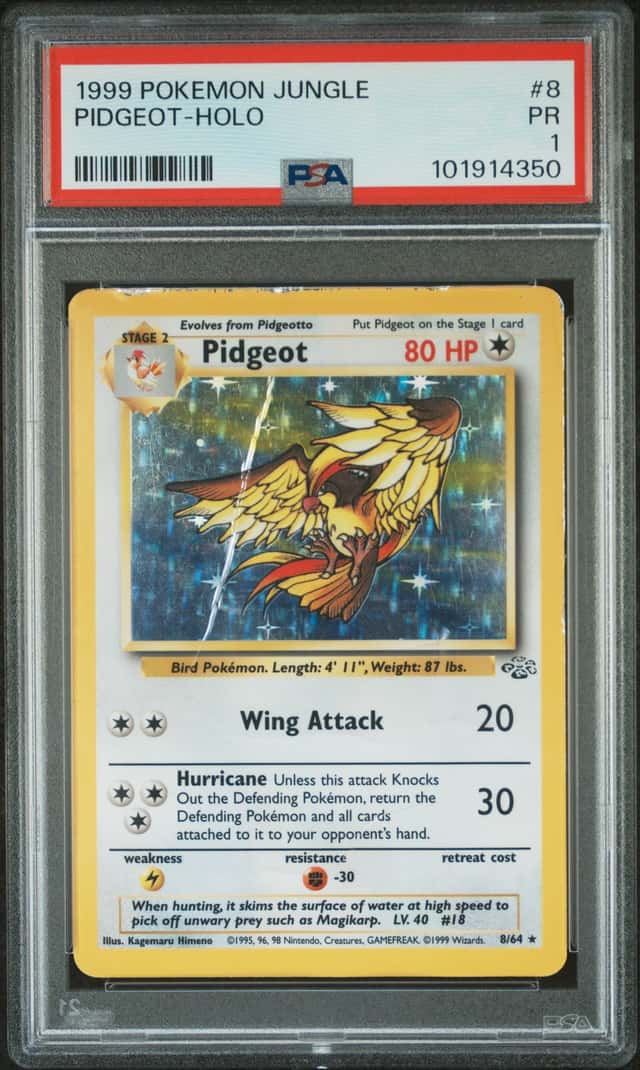 Pidgeot