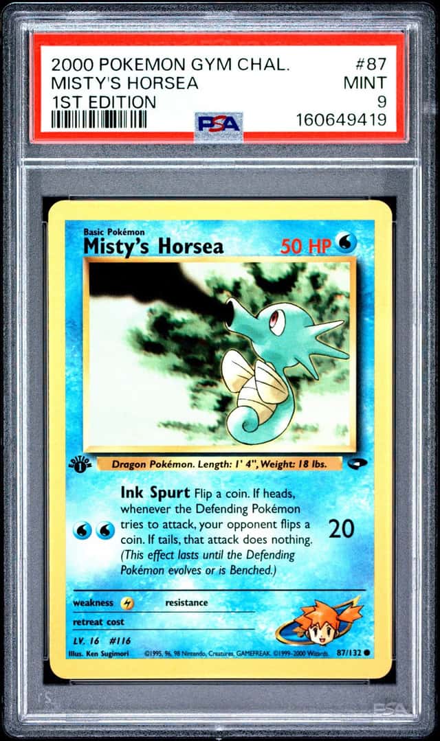 Misty's Horsea