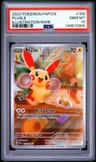 Plusle